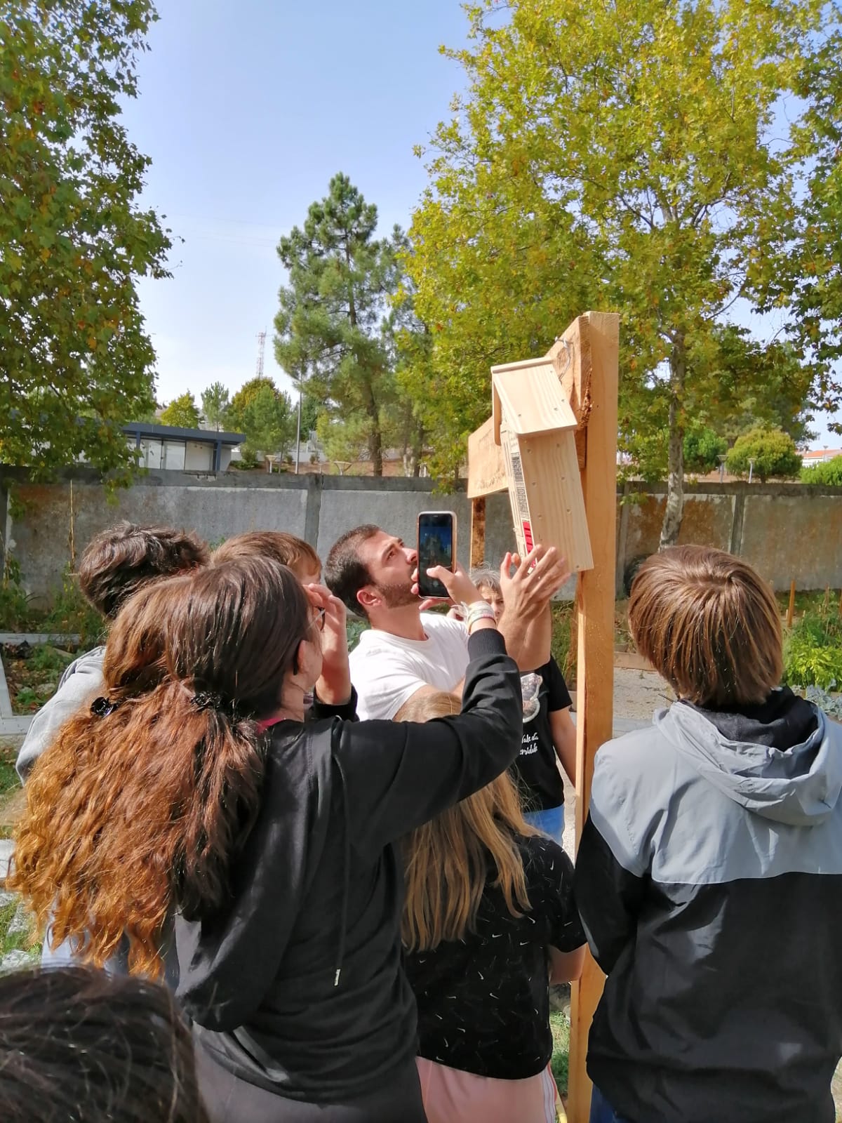 Parque Natural do Vale do Tua envolveu escolas na colocação de abrigos e ninhos em áreas fortemente humanizadas